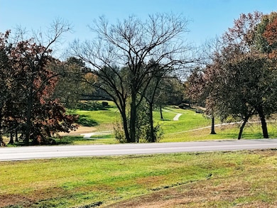 144 Blue Jay Way, Nixa, MO 65714 - photo 4