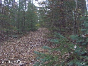 Private driveway to property