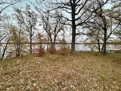 TBD E Lake Lizzie Rd, Pelican Rapids, MN 56572 - photo 6