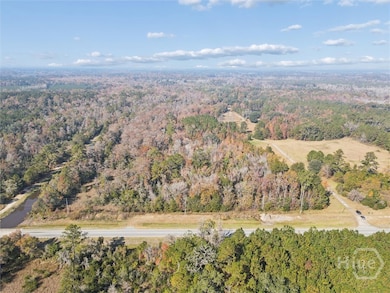 0 S Coastal Hwy, Riceboro, GA 31323 - photo 2