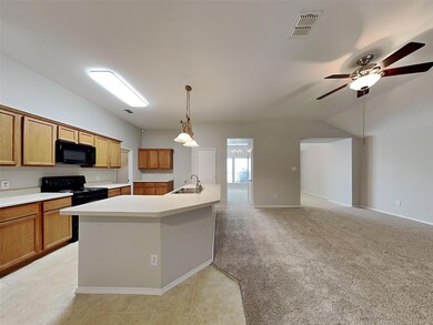 310 Highland Glen Dr, Wylie, TX 75098 - photo 2