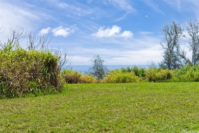 28-1168 Loa Rd, Pepeekeo, HI 96783 - photo 4