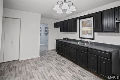 106 Lyndel St, Pleasant Hill, IL 62366 - photo 3