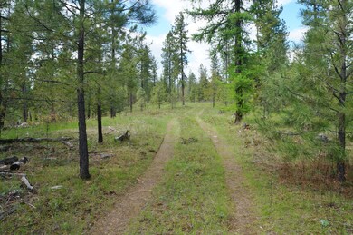 Interior Road