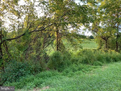 0 FT Valley Rd. Francis Thorton Valley Rd, Sperryville, VA - photo 3