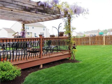 Yard. Beautiful Wisteria Vines Covering Pergola in Lush Backyard