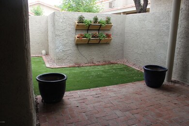 Covered Patio 2