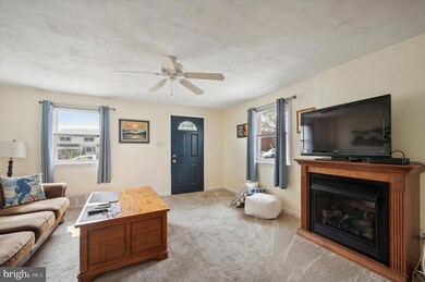 269 Drexel Ave, Lansdowne, PA 19050 - photo 4