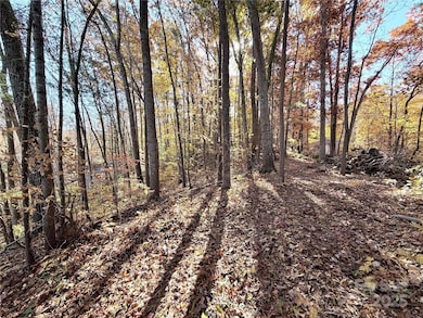 99999 Dix Creek No 1 Rd, Leicester, NC 28748 - photo 6