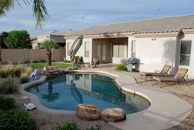 Back Yard -1