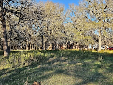 1447 Red Gate Rd, Mart, TX 76664 - photo 4