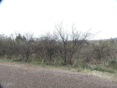 Natural vegetation 1
