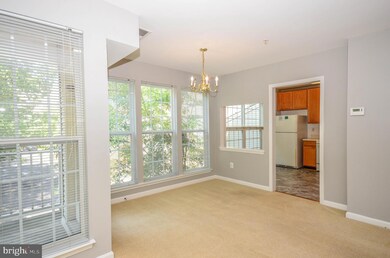 11204 Edson Park Place unit 6, Rockville, MD 20852 - photo 6