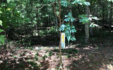 LOT 9 Dover Falls Trail, Ellijay, GA 30540 - photo 4