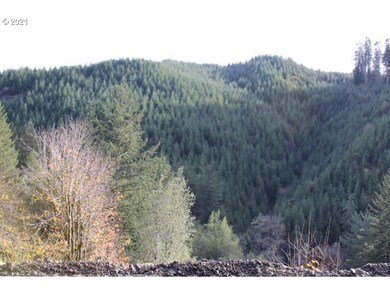 16855 Oregon 42, Myrtle Point, OR 97458 - photo 5