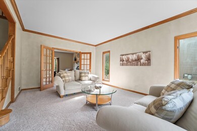 1108 Magenta Ct, Naperville, IL 60564 - photo 4