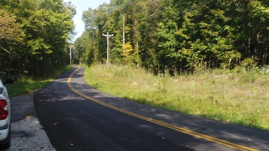 2000 Dixie Bend Rd, Burnside, KY 42519 - photo 6