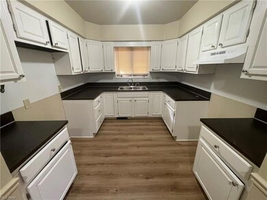 18 W Lewis St, Struthers, OH 44471 - photo 4