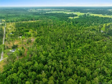 0 Lonnie Cole Rd unit SWL25003411, Ragley, LA 70657 - photo 7