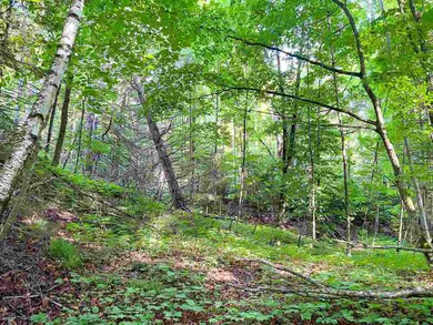 TBD Allen's Lakeview Rd Lots 863 864, Beaver Island, MI 49782 - photo 5