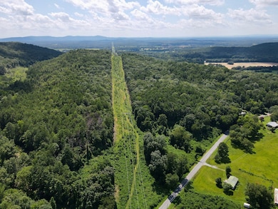 Short Rd, Alpine, AL 35014 - photo 4