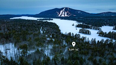27A-8B Wild Haven Rd, Bridgton, ME 04009 - photo 3