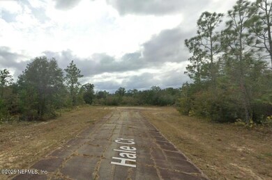 0 Hale Ct, Chipley, FL 32428 - photo 6