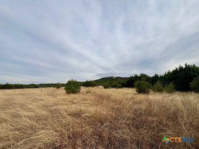 Unassigned County Road 3270, Kempner, TX 76539 - photo 4