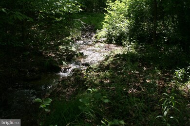 0 Garth Run Rd unit 1003148730, Madison, VA 22727 - photo 6