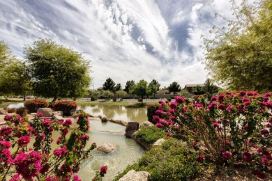 9726 E Knowles Ave, Mesa, AZ 85209 - photo 4