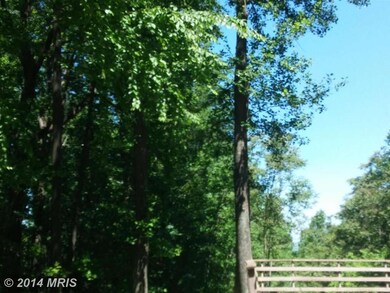 3 Squaw Path Way, Linden, VA 22642 - photo 3