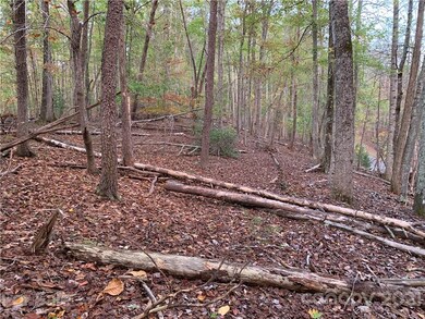 30 Granny Smith Ln unit 30, Lake Lure, NC 28746 - photo 3