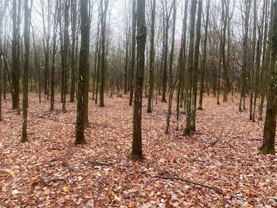 0 Gillies Hill Rd unit S1649074, Birdsall, NY 14822 - photo 7