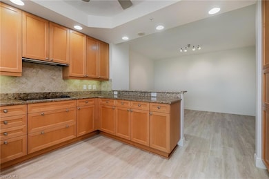 Nevis at Cove Towers unit 902, Naples, FL 34110 - photo 5