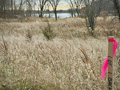 21001 Vergus Ave, Spring Lake Township, MN 55372 - photo 2