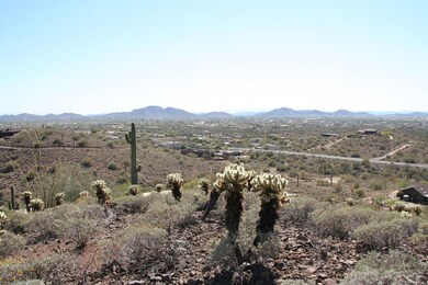 IMG_1969