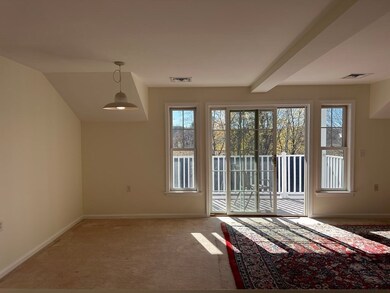 43 Kendall Ave unit 202, Sherborn, MA 01770 - photo 5