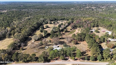 294 Geiger Rd, Lucedale, MS 39452 - photo 3