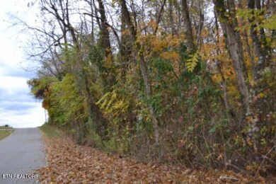 10.70ac Red Oak Ridge Rd, Celina, TN 38551 - photo 5