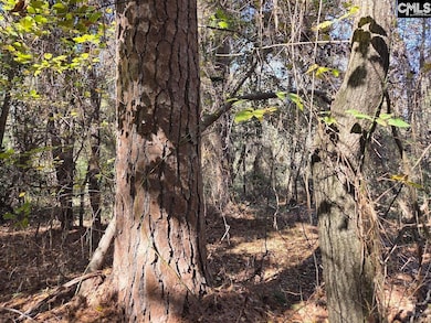 17 Five Bridges Rd, Camden, SC 29020 - photo 5