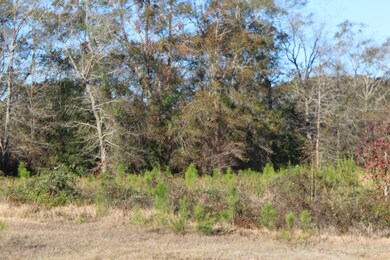 6.66 Agricola Latonia Rd, Lucedale, MS 39452 - photo 3