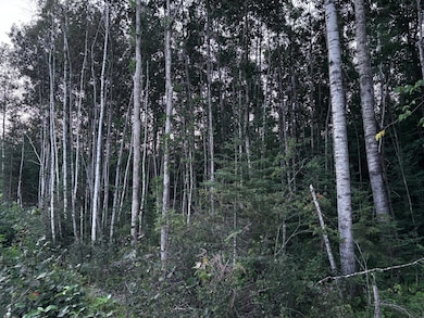 TBD U S Highway 71, Littlefork, MN 56653 - photo 4