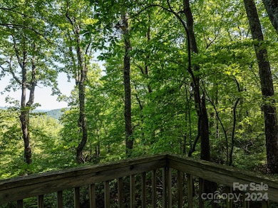 Lot 25 Panther Mountain Rd unit CVN-CVN-025, Zirconia, NC 28790 - photo 4