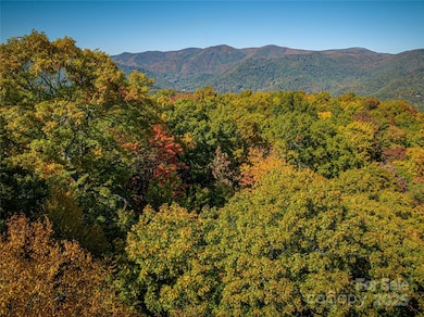 205 Chickadee Ln unit 205, Maggie Valley, NC 28751 - photo 4