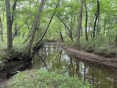 00 Red Bud Rd, Castalia, NC 27816 - photo 3