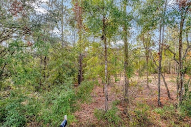 1716 E Bismark St, Hernando, FL 34442 - photo 3