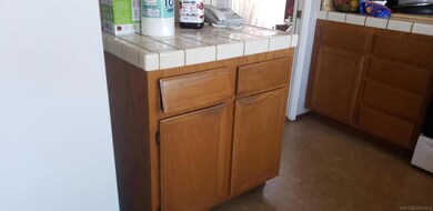 1619 Willowspring Dr N, Encinitas, CA 92024 - photo 5