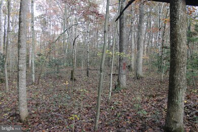 0 S Pines Rd, Lee, VA 20186 - photo 3