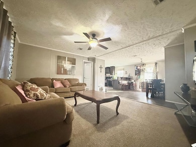 120 Elizabeth Church Rd, Hazlehurst, GA 31539 - photo 5