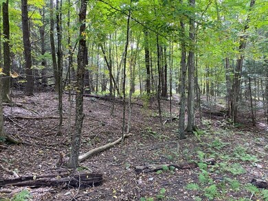 0 Hubbardston Rd, Barre, MA 01005 - photo 2